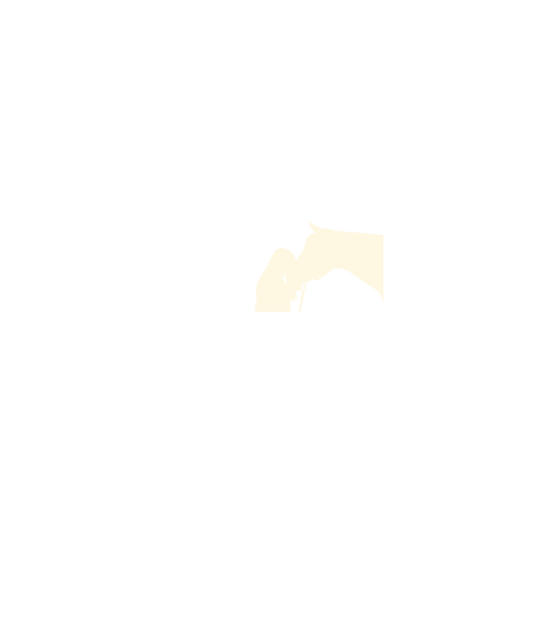  minta szürke pólón