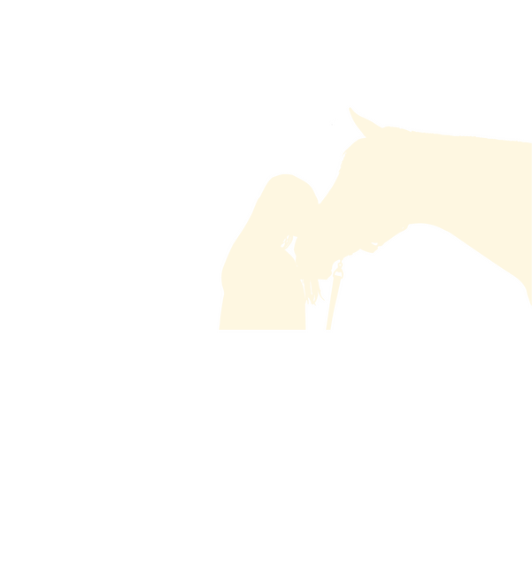 Lovas szív