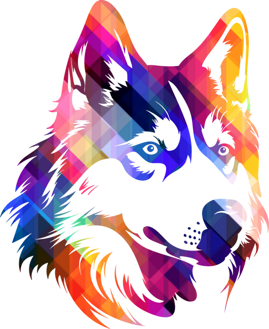 Husky